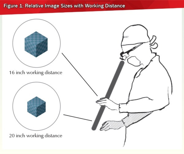 Choosing loupes for dental school 3 most common myths SurgiTel