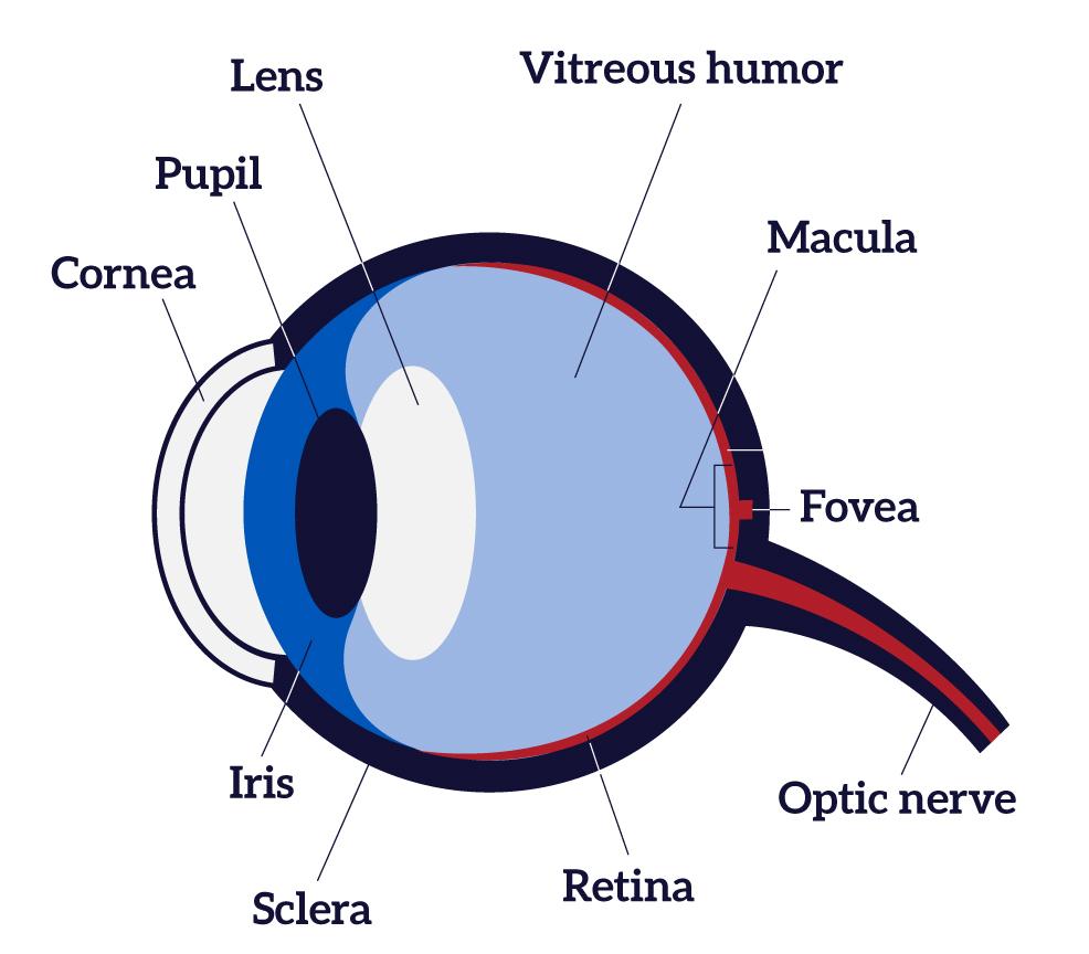 Eye Diagram