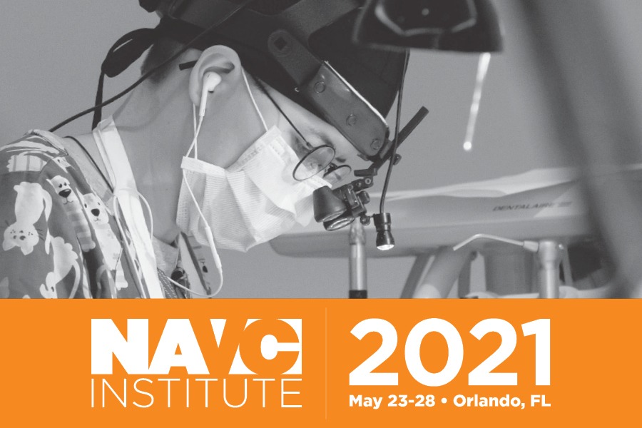 NAVC Institute 2021