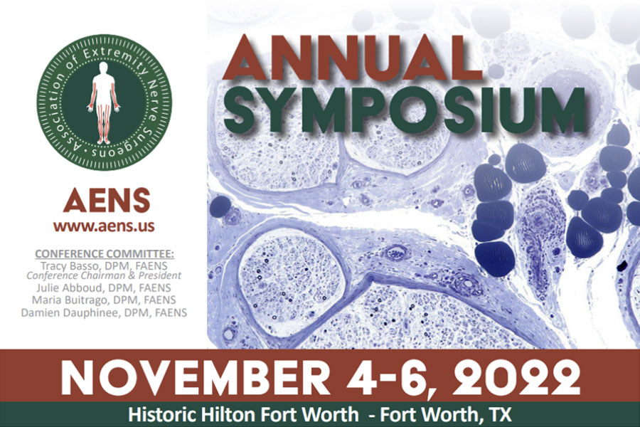 AENS Annual Symposium 2022