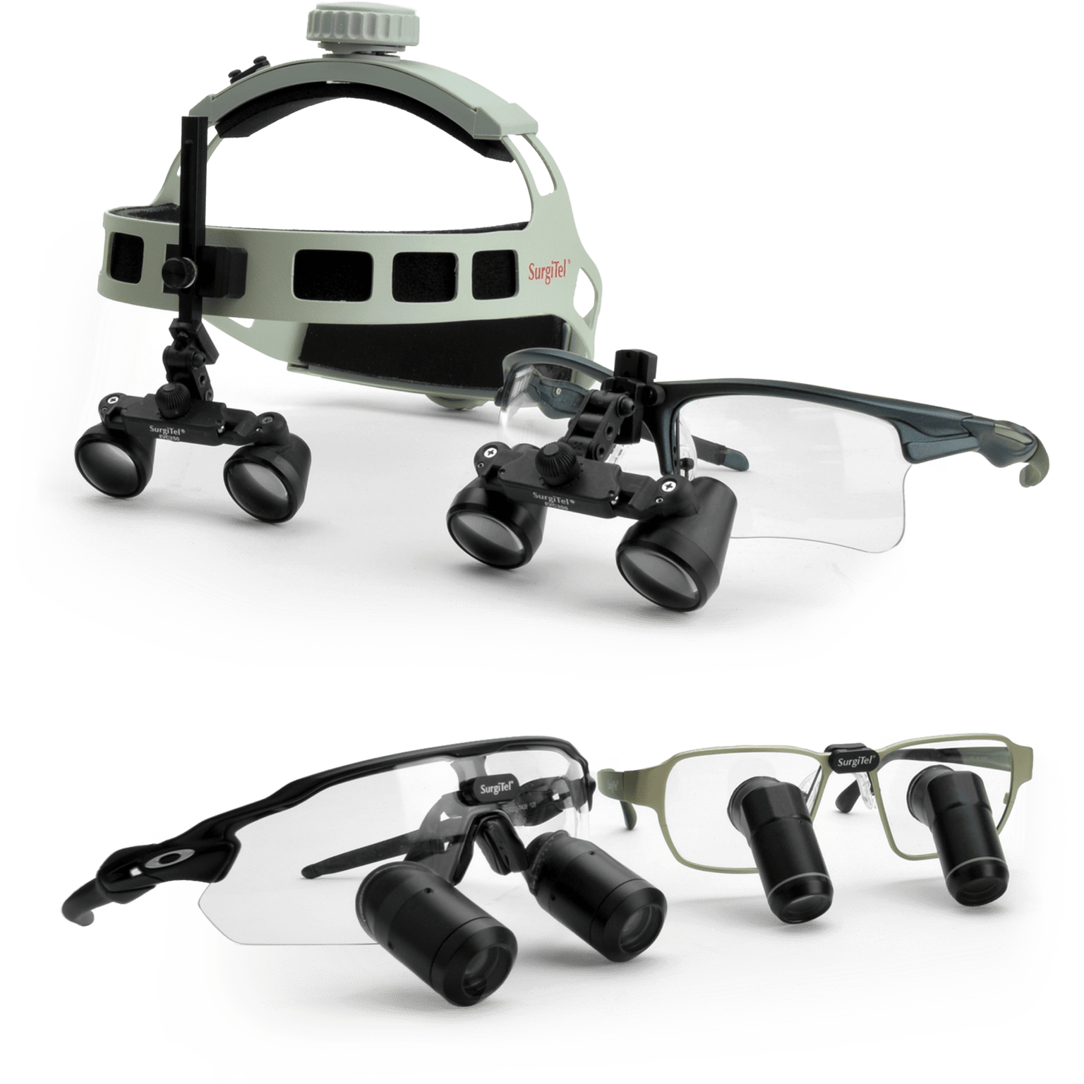 SurgiTel Surgical loupes Dental loupes Veterinarian loupes