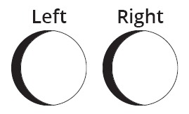Example of shadowing on the left side of both oculars.