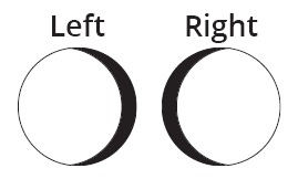 Example of shadowing on inside.