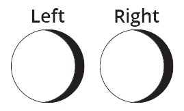 Example of shadowing on the right side of both oculars.