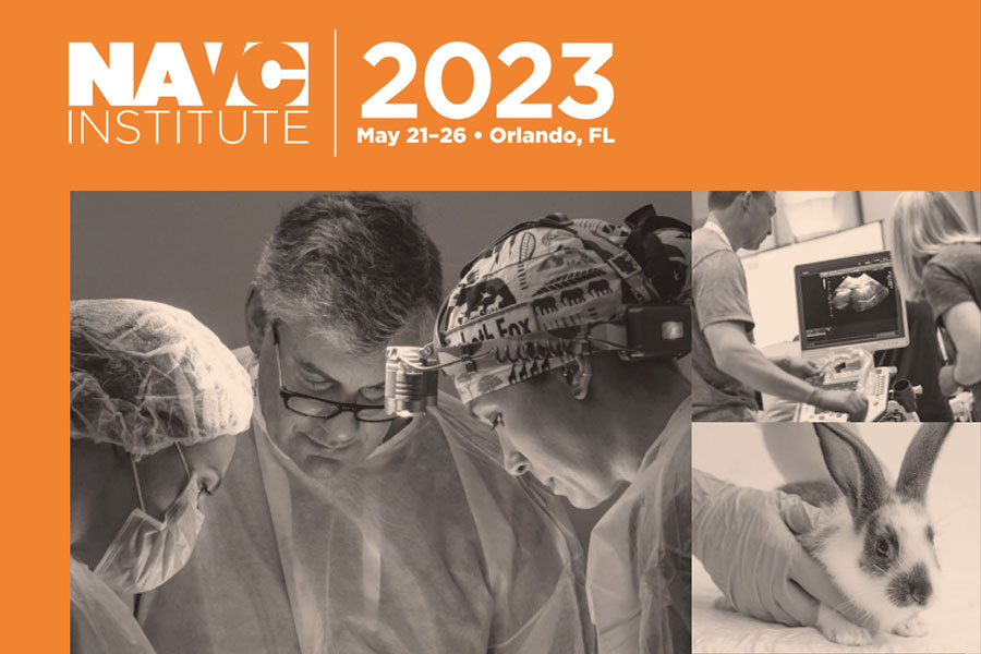 NAVC Institute 2023