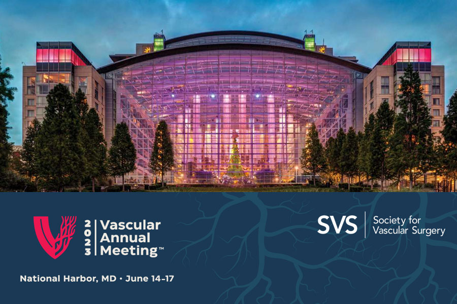 SVS VAM 2023