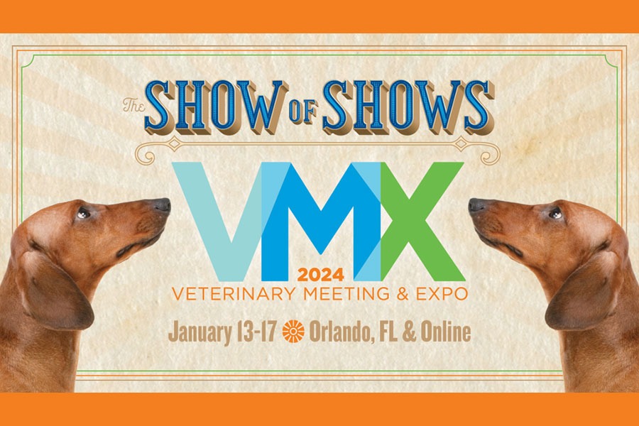 VMX 2024