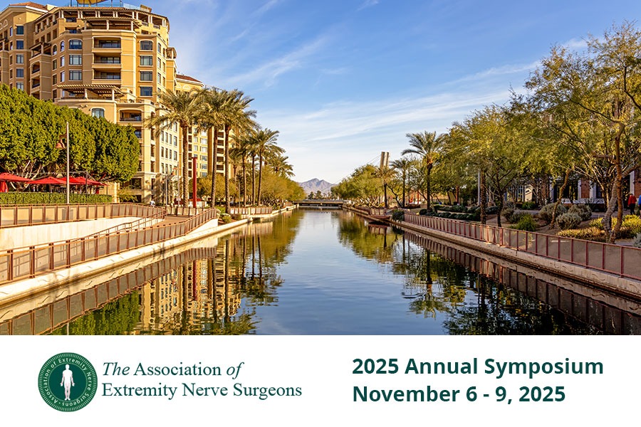 AENS 2025 Annual Symposium